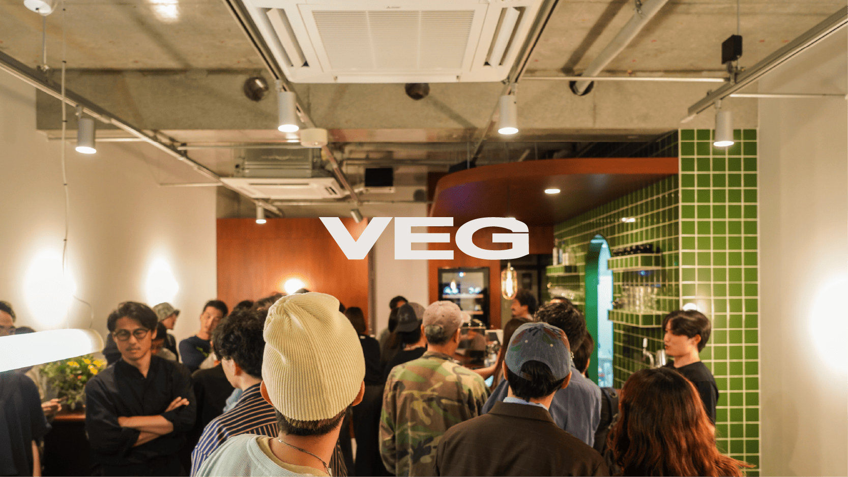 VEGイメージ